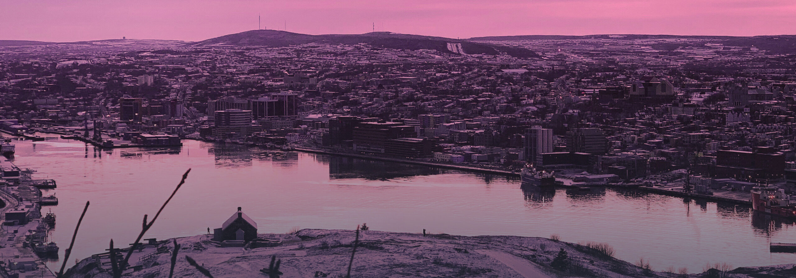 v14 Photo by Pei Yu on Unsplash. pei-yu-cZ0J1VFQj-w-unsplash