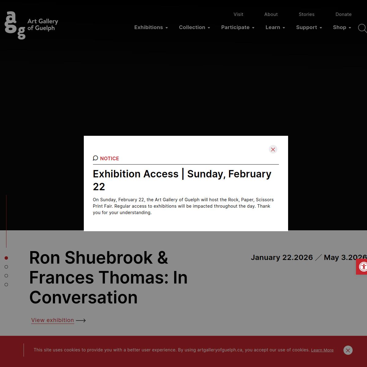 Website Preview