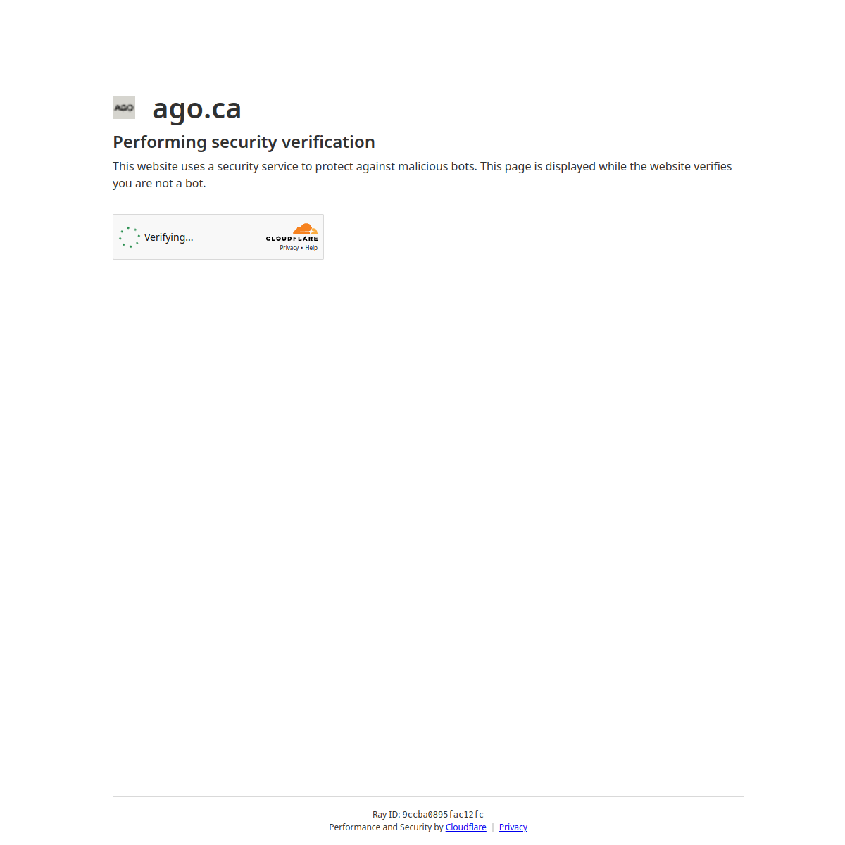 Website Preview
